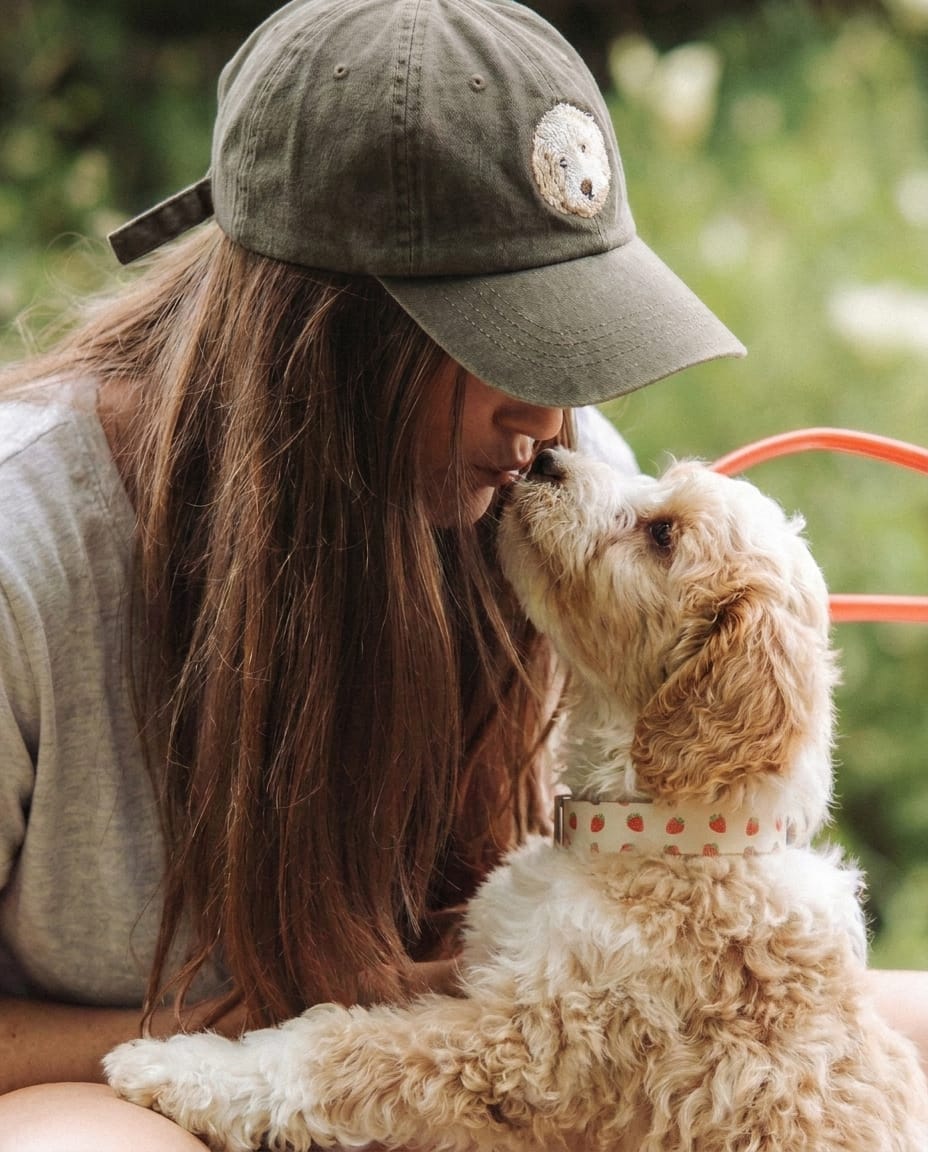 Custom Pet Embroidered Icon Stitch Dad Hat