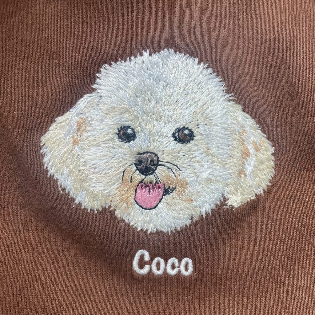 The same portrait, finished in embroidery